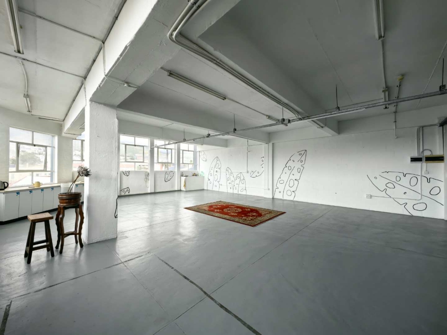 Commercial Property for Sale in Woodstock Western Cape